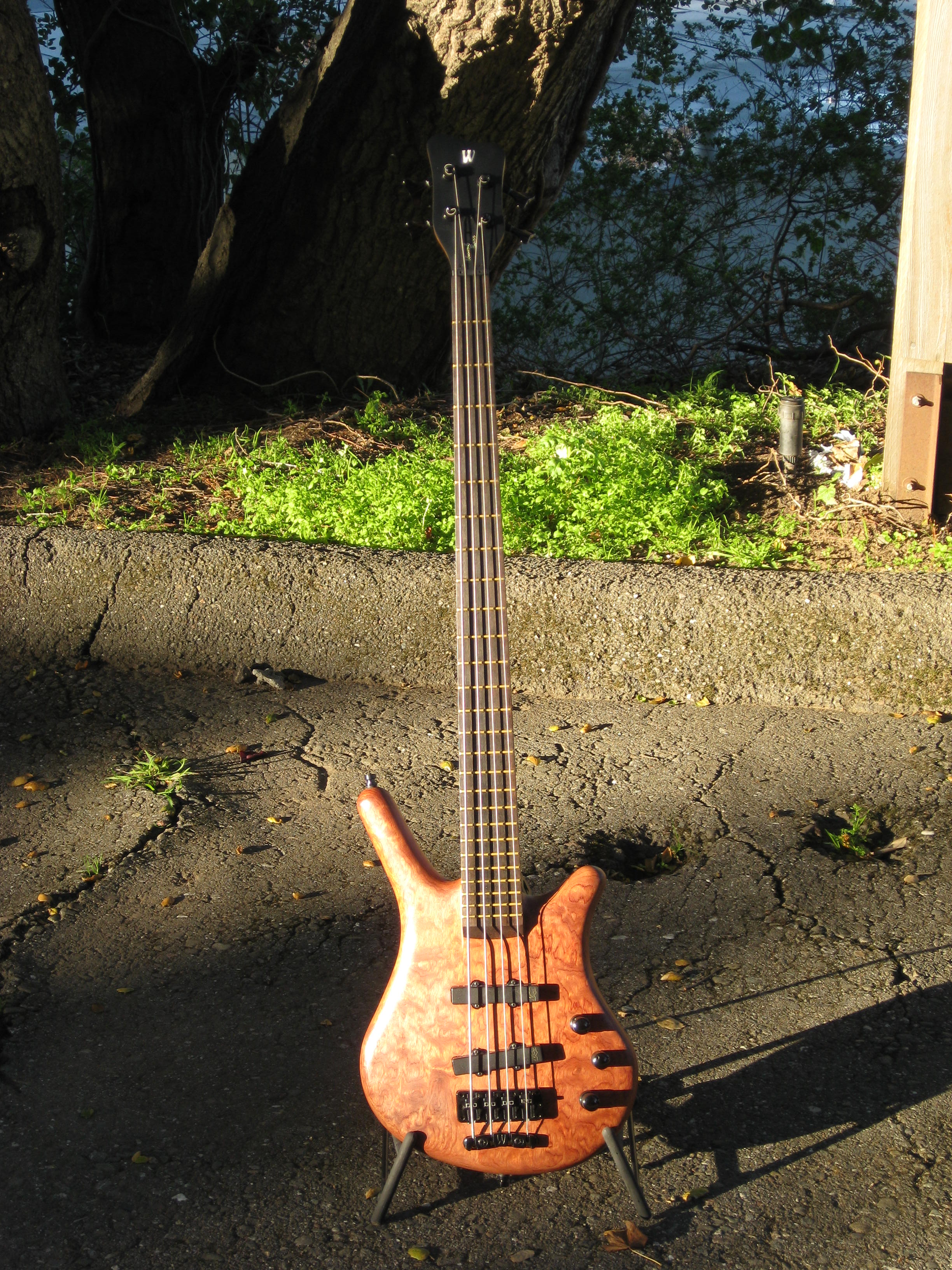 Electric bass guitar used for private bass lessons